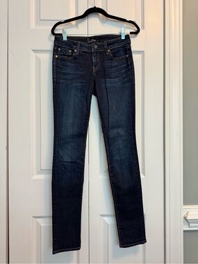Aritzia the castings skinny mid rise jeans